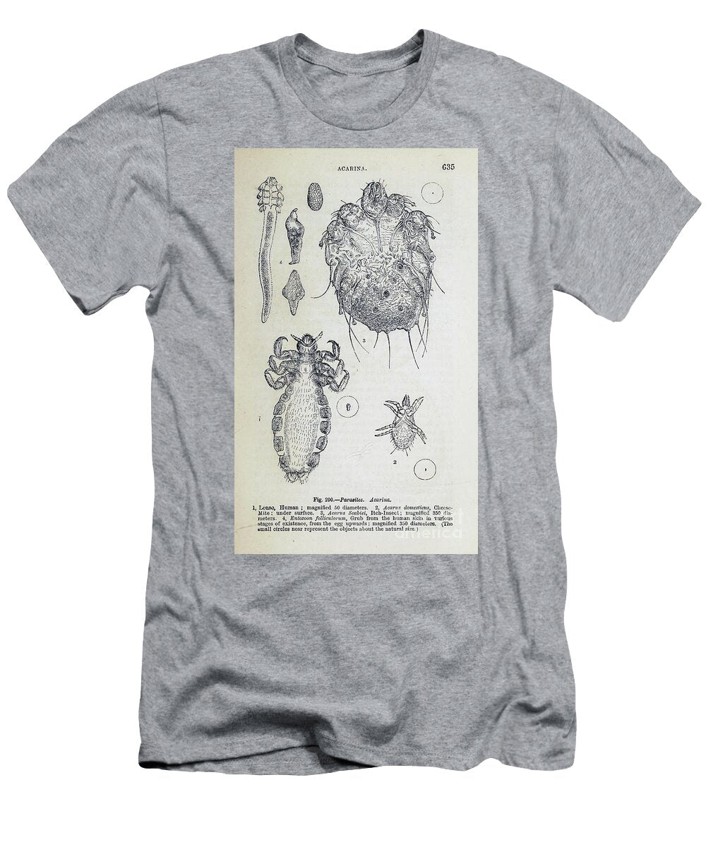 Organisms Under Microscope K15 Historic Illustrations T-Shirt
