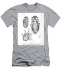 Organisms Under Microscope K16 Historic Illustrations T-Shirt