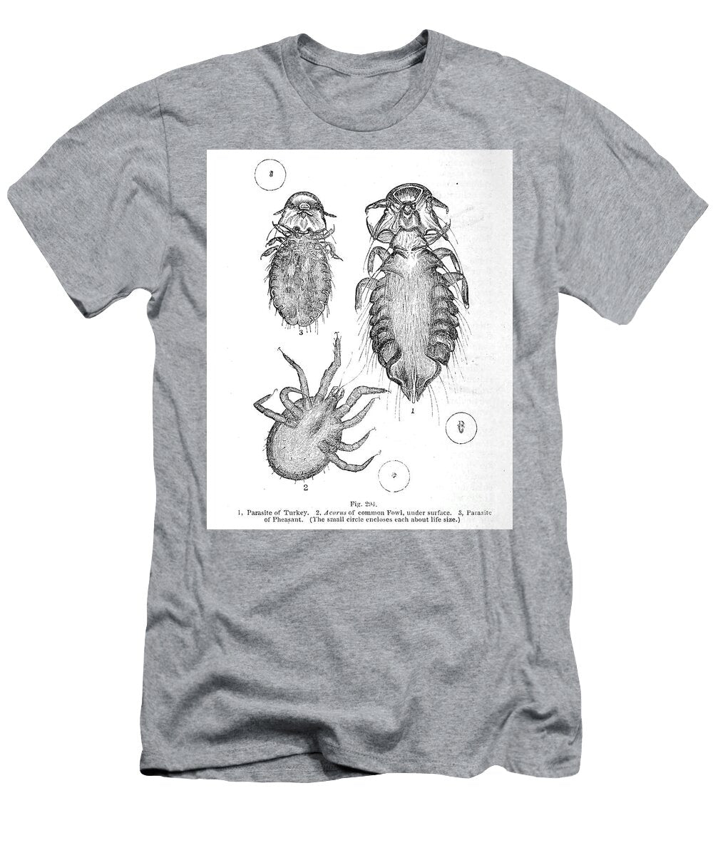 Organisms Under Microscope K16 Historic Illustrations T-Shirt