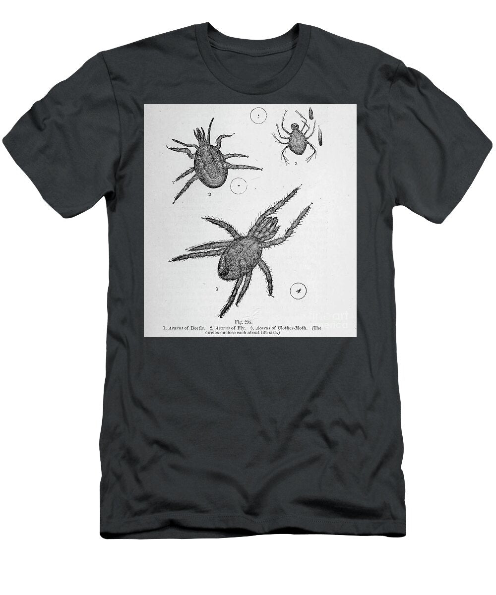 Organisms Under Microscope K17 Historic Illustrations T-Shirt