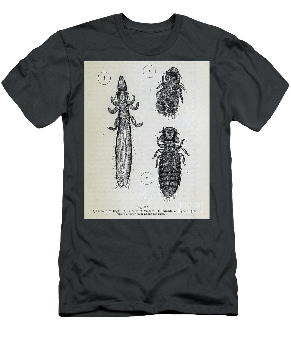 Organisms Under Microscope K18 Historic Illustrations T-Shirt