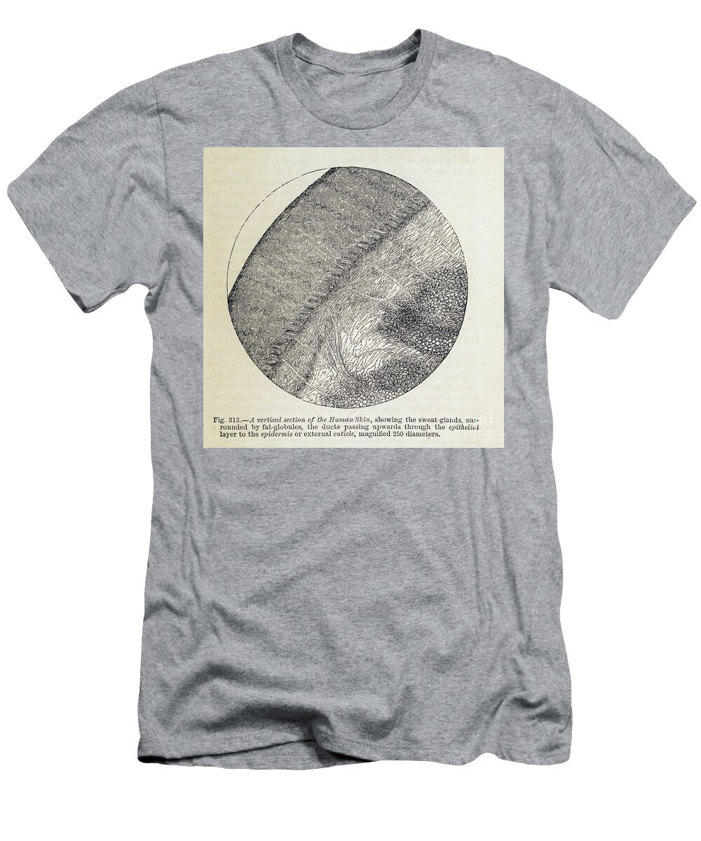 Organisms Under Microscope K21 Historic Illustrations T-Shirt