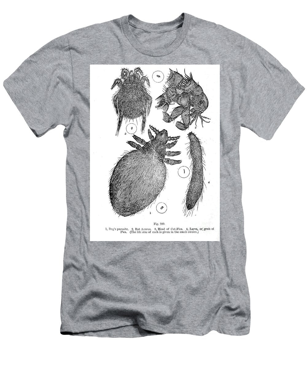 Organisms Under Microscope K23 Historic Illustrations T-Shirt