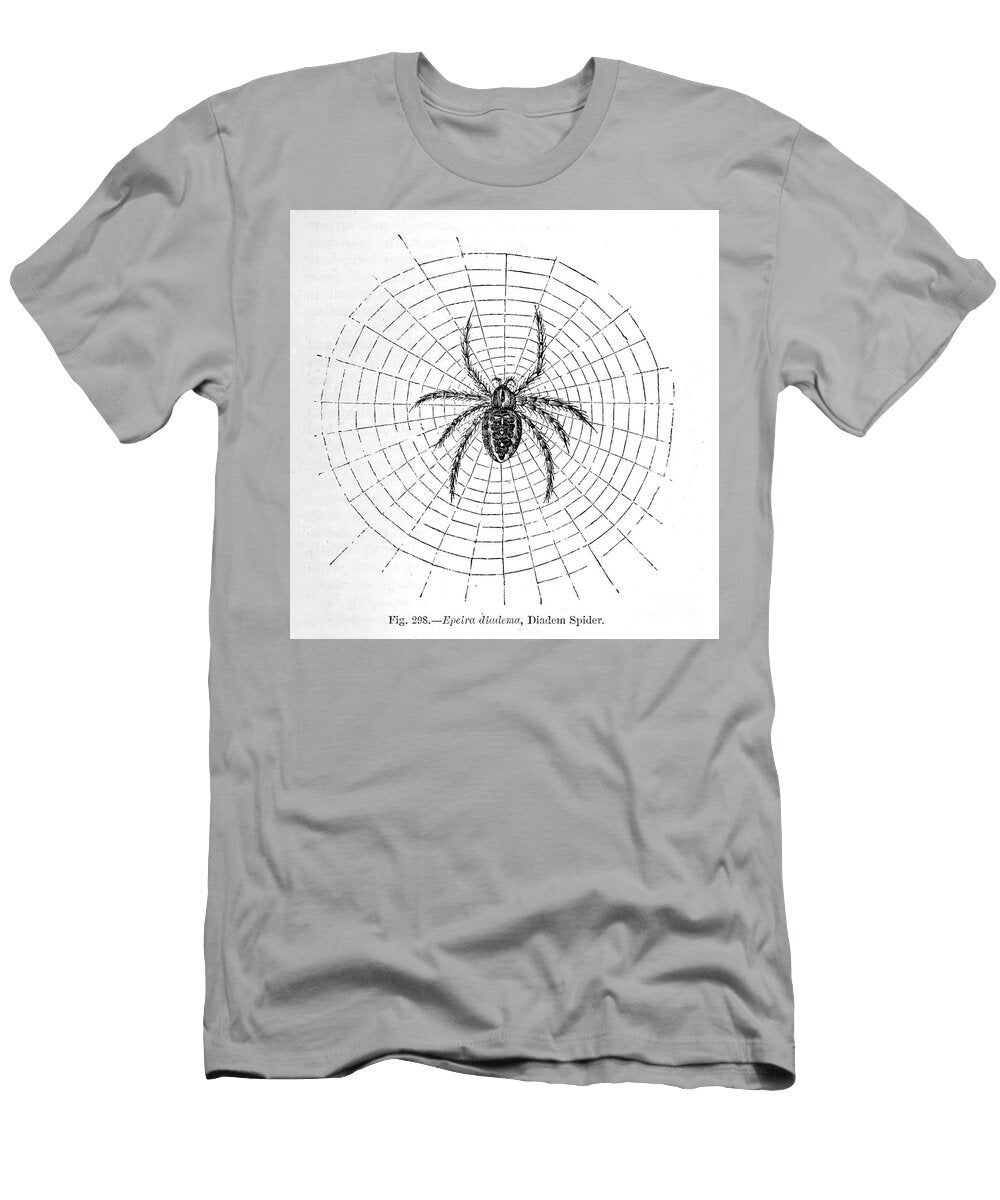 Organisms Under Microscope K24 Historic Illustrations T-Shirt