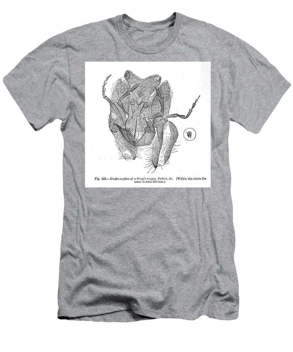 Organisms Under Microscope K4 Historic Illustrations T-Shirt