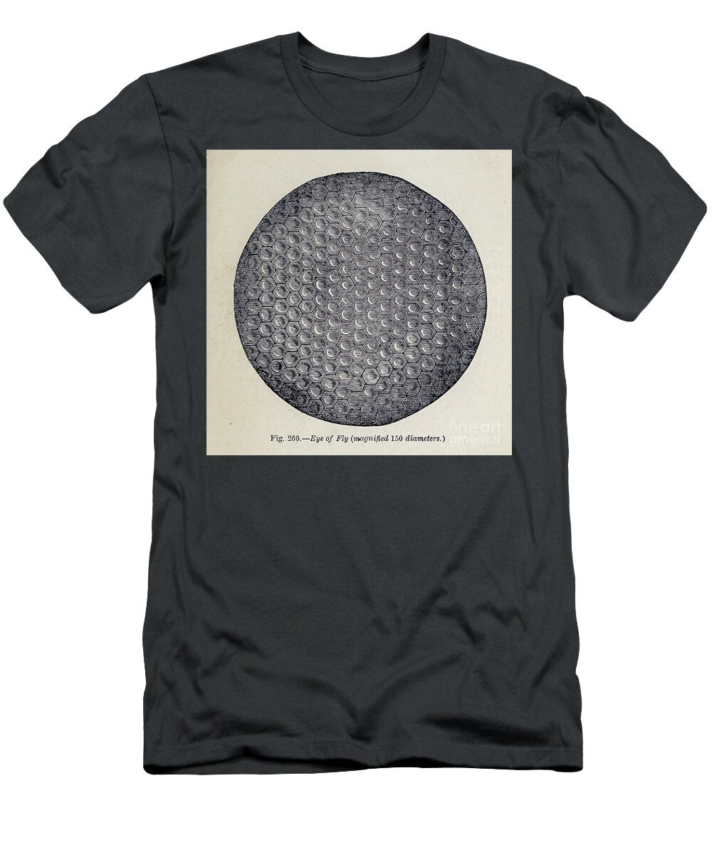 Organisms Under Microscope K5 Historic Illustrations T-Shirt
