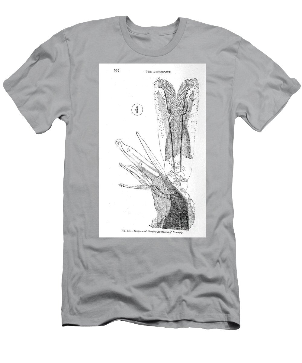 Organisms Under Microscope K6 Historic Illustrations T-Shirt