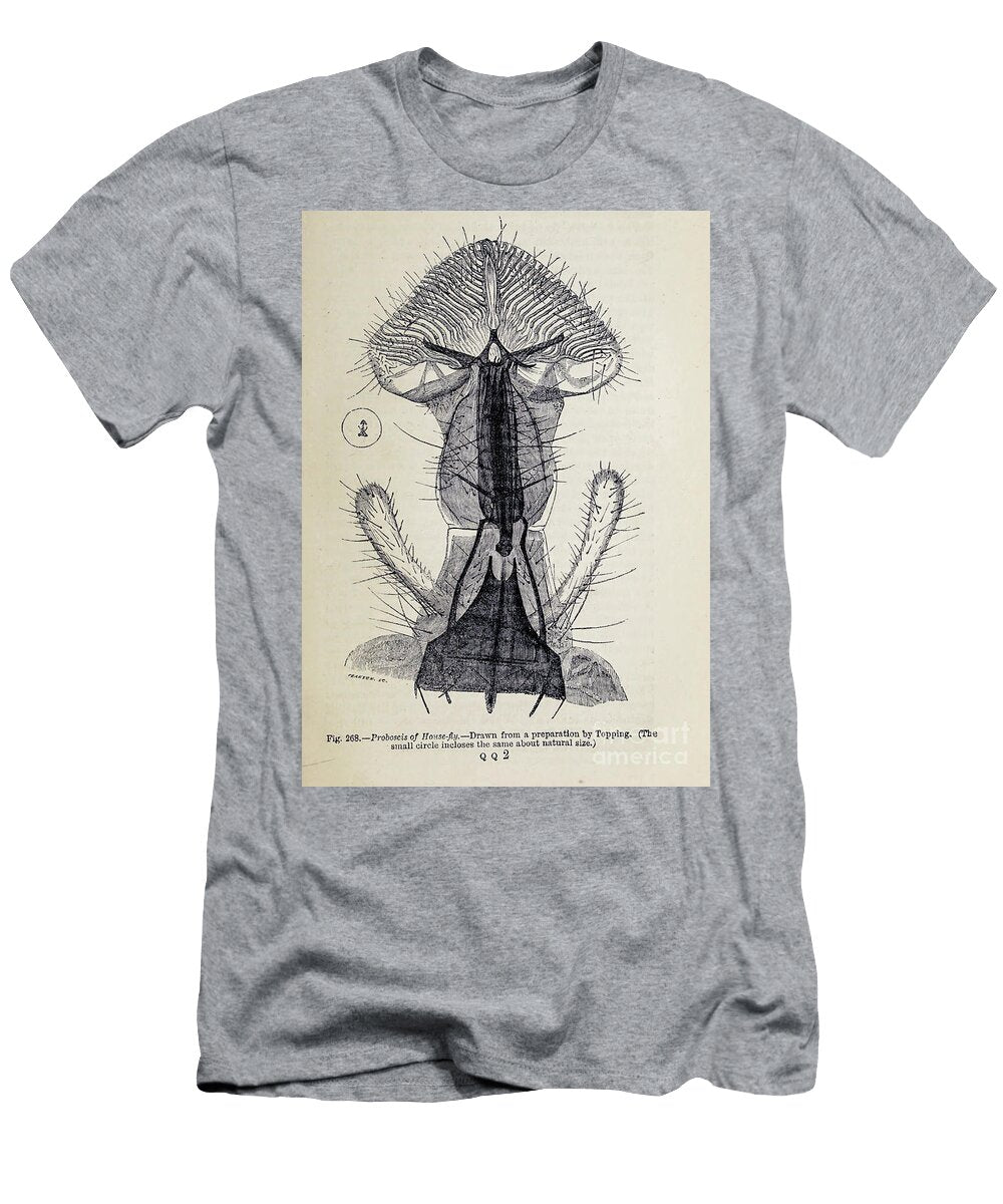 Organisms Under Microscope K7 Historic Illustrations T-Shirt