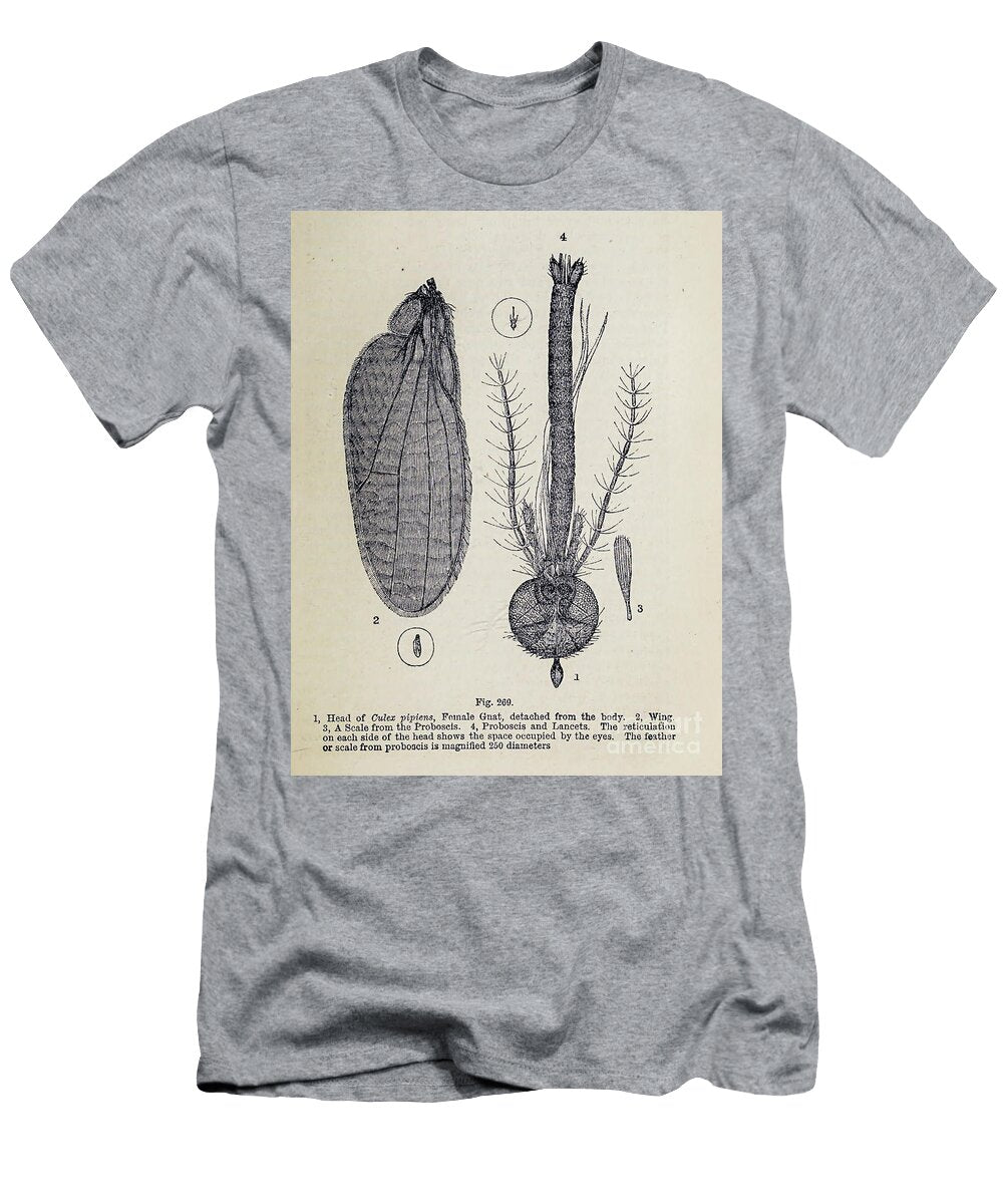 Organisms Under Microscope K8 Historic Illustrations T-Shirt