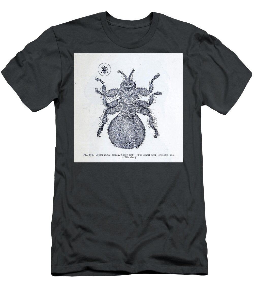 Organisms Under Microscope K9 Historic Illustrations T-Shirt