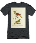 Oropendola Birds of South America 1835 U1 Historic Illustrations T-Shirt