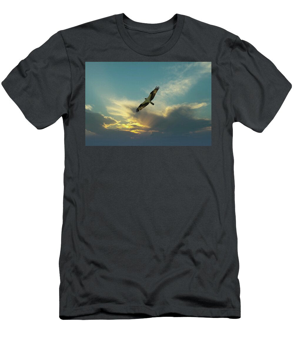 Osprey Bird Soaring High in Evening Sky Looking for Prey Thomas Baker T-Shirt