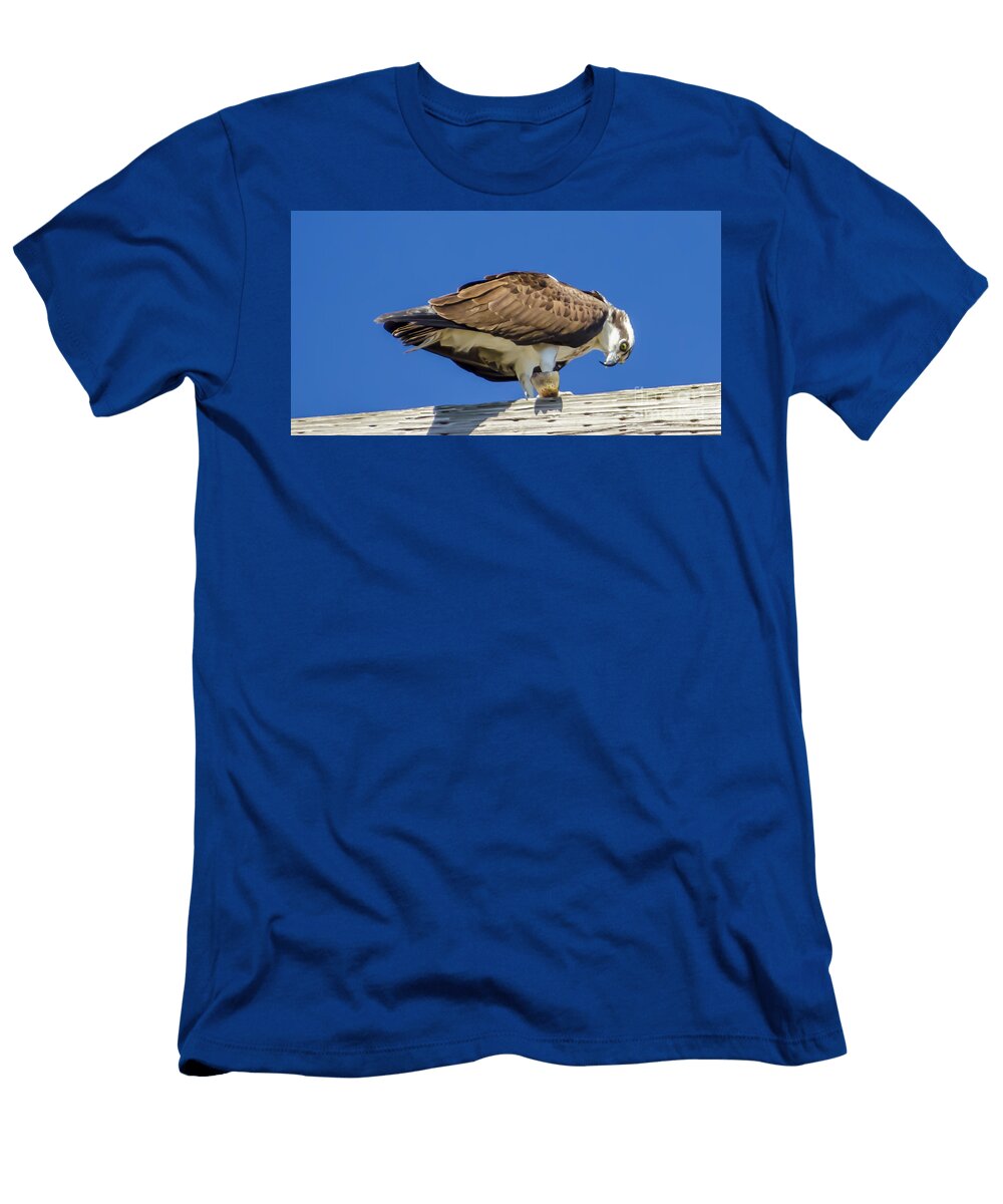 Osprey Eating Lunch Dale Powell T-Shirt