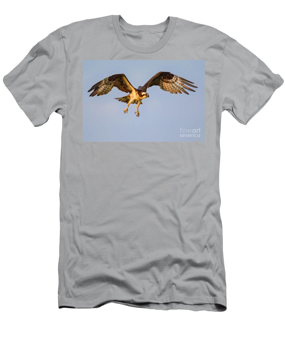 Osprey in Flight Jerry Fornarotto T-Shirt