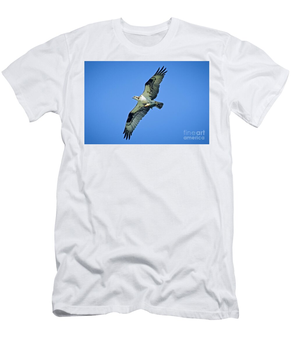 Osprey in Flight Over Richardson Nature Center Natural Focal Point Photography T-Shirt