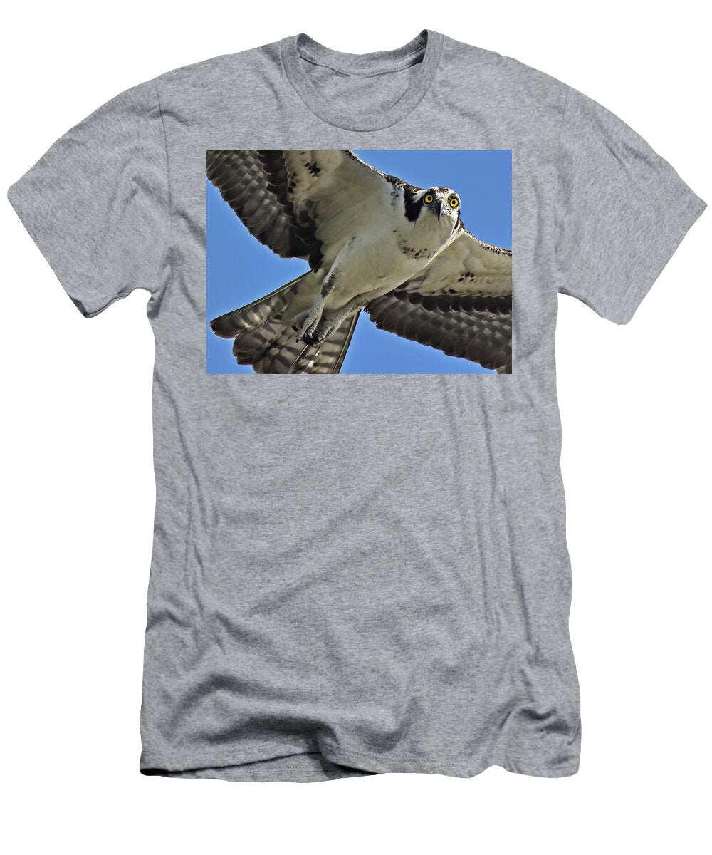 Osprey Lookin At You Kid Cindy Mcintyre T-Shirt