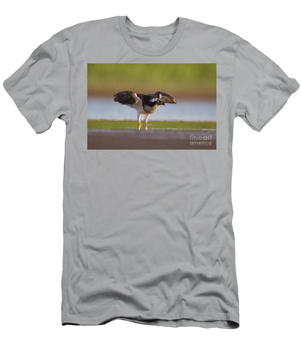 Osprey Pandion Haliaetus E1 Alon Meir T-Shirt