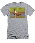 Osprey Pandion Haliaetus E2 Alon Meir T-Shirt