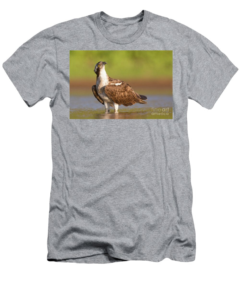 Osprey Pandion Haliaetus E2 Alon Meir T-Shirt