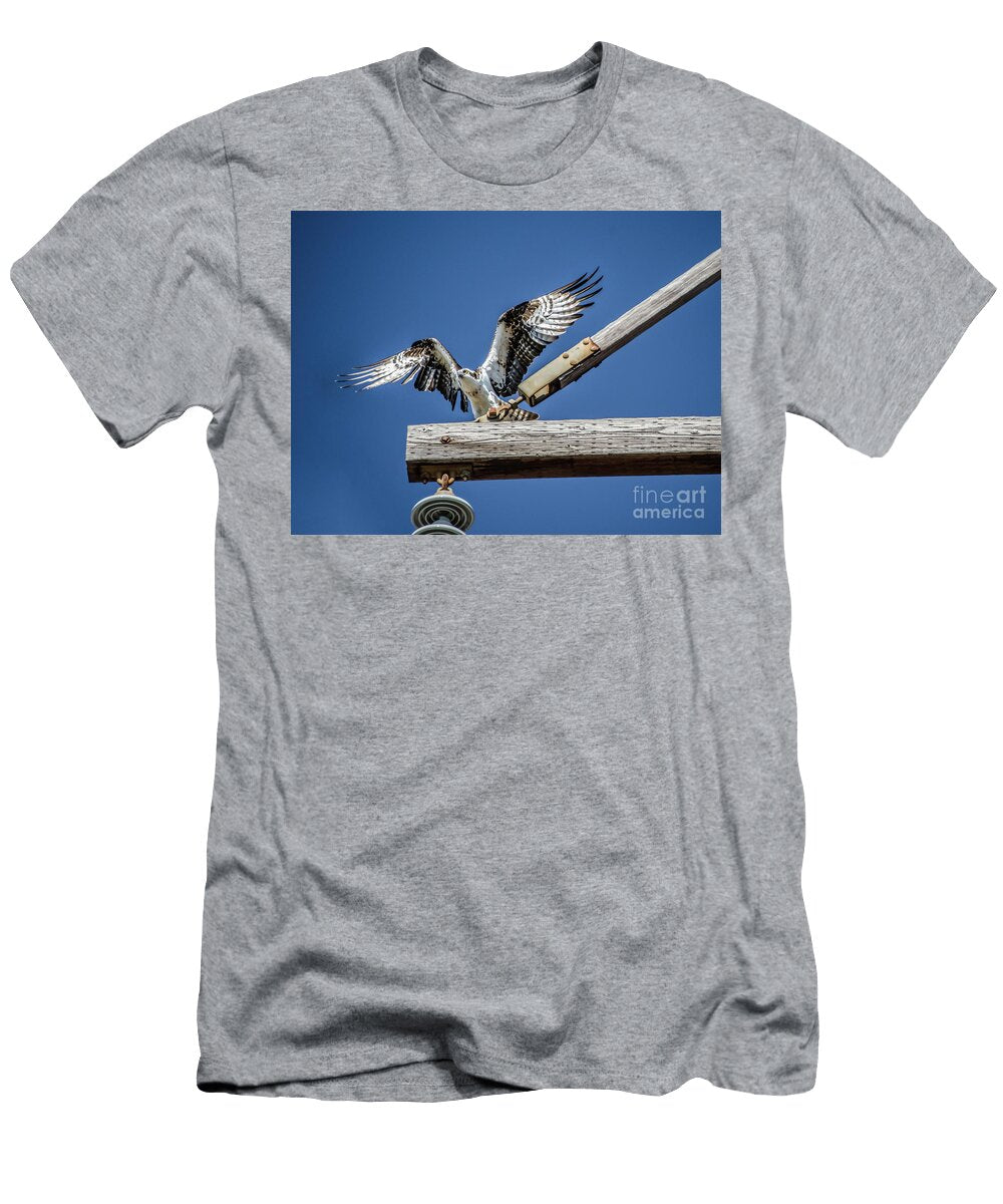 Osprey Wings Dale Powell T-Shirt