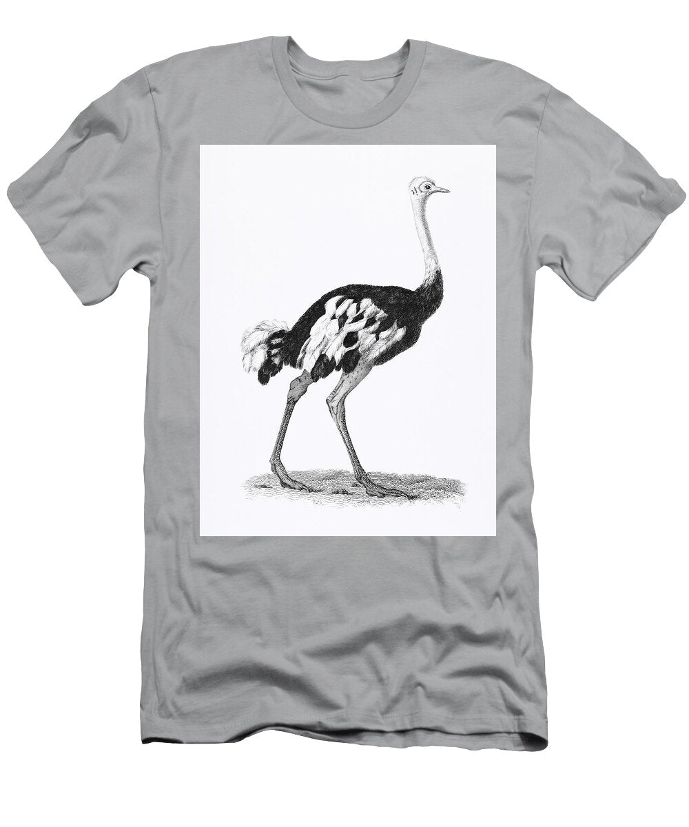 Ostrich From Zoological Lectures Delivered At the Royal Institution in the Years 1806 7 Illustrated Les Classics T-Shirt