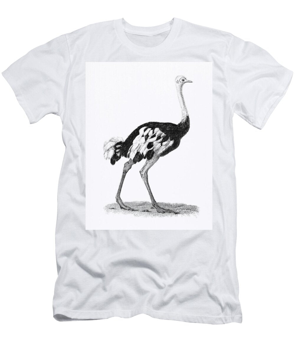 Ostrich From Zoological Lectures Delivered At the Royal Institution in the Years 18067 Illustrated B Vincent Luxe Gallery T-Shirt