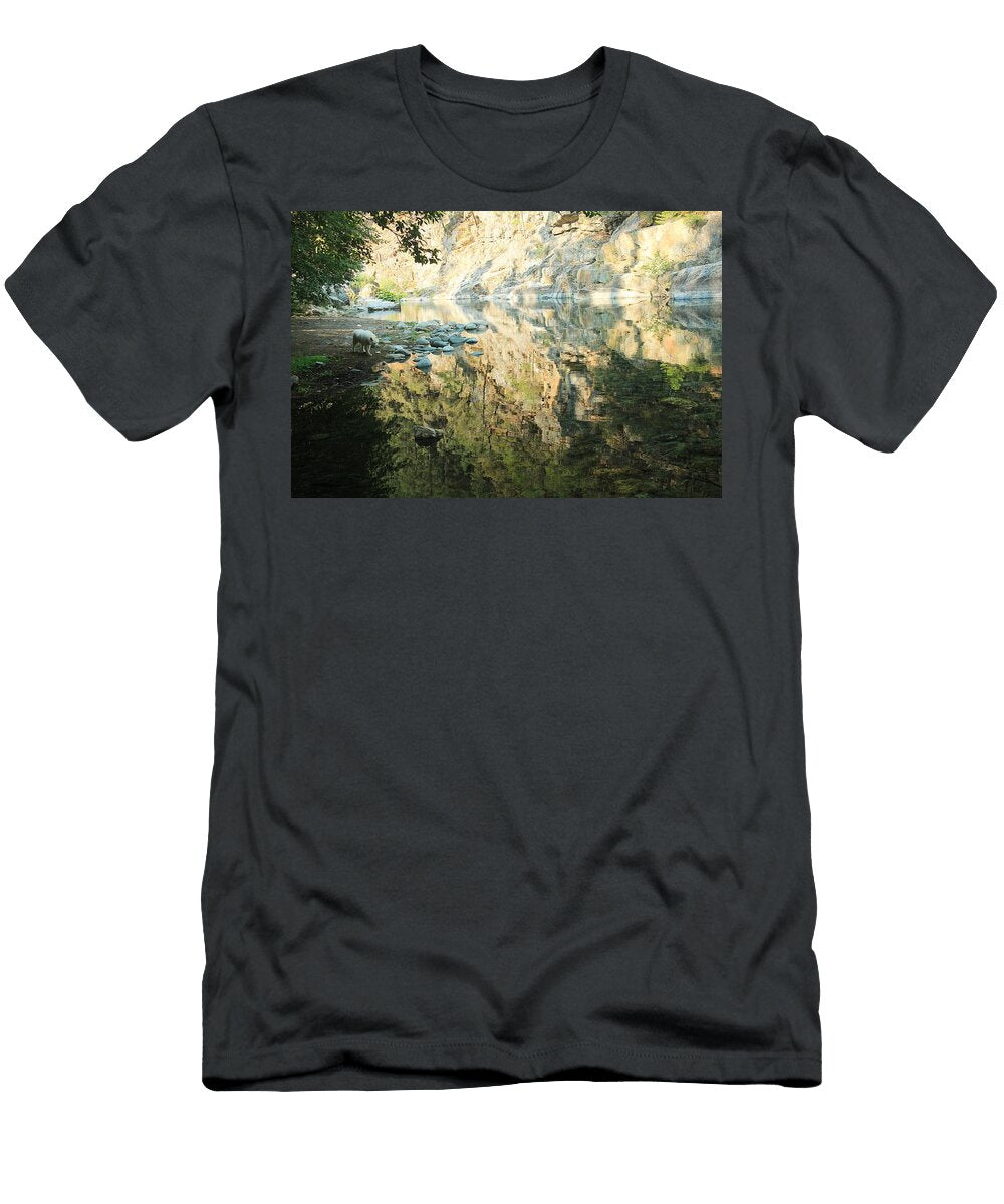 Out of the Darkness and Into the Light Sean Sarsfield T-Shirt