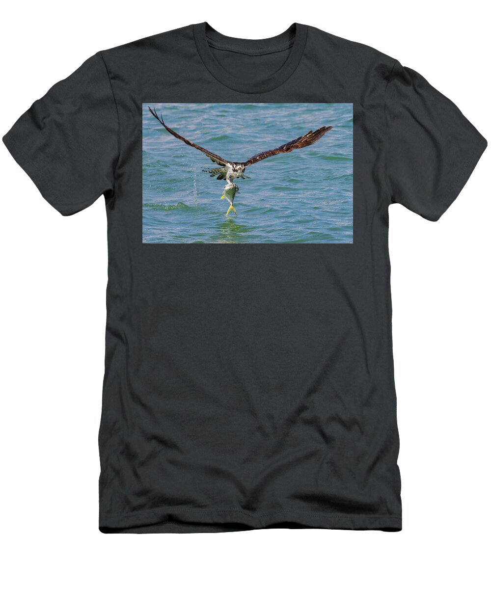 Outstretched Wings and Talon Clings Rd Allen T-Shirt