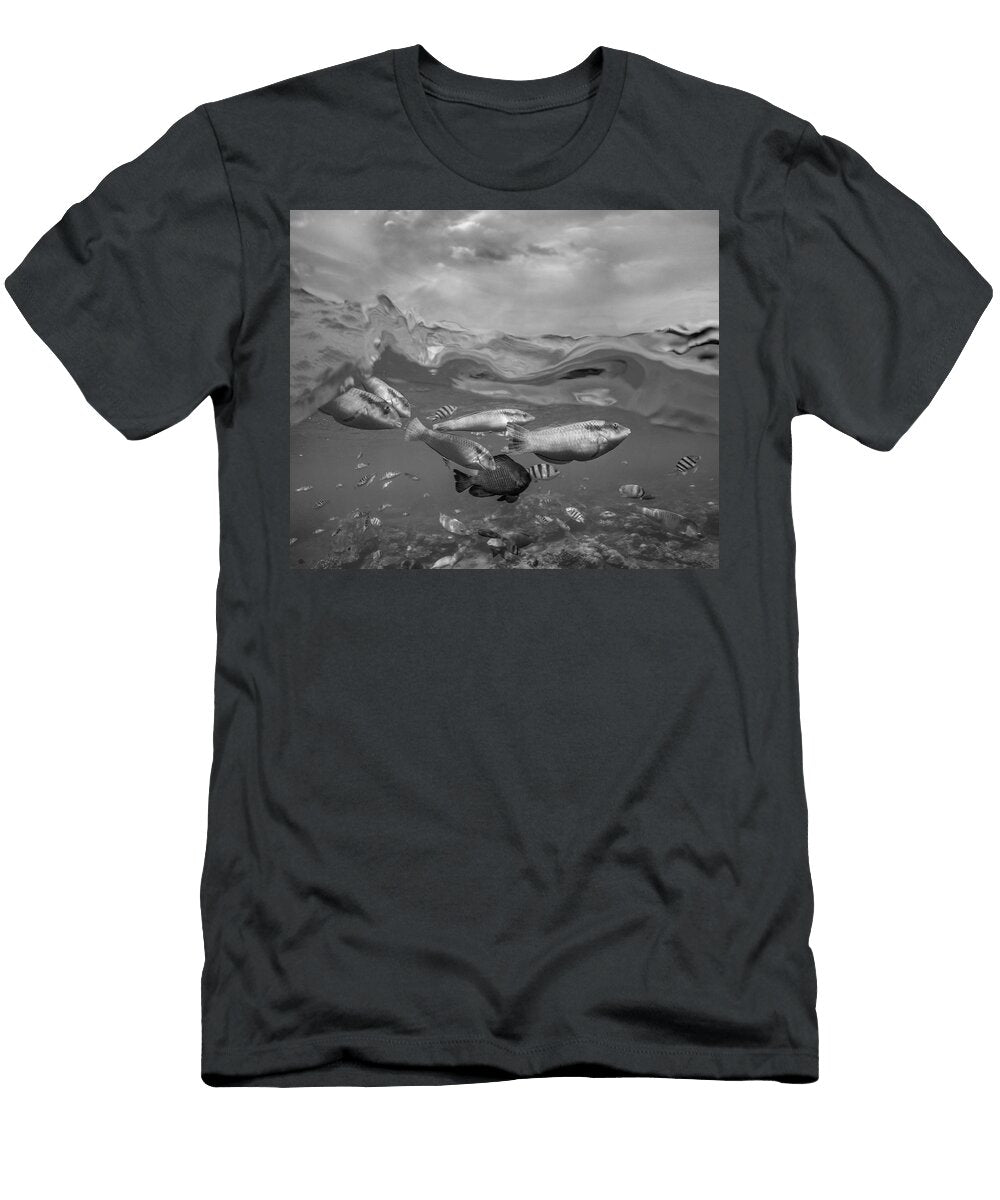 Over Under Fish and Sky Tim Fitzharris T-Shirt