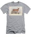 Ovis Gmelini Zoologia Typica Q1 Historic Illustrations T-Shirt
