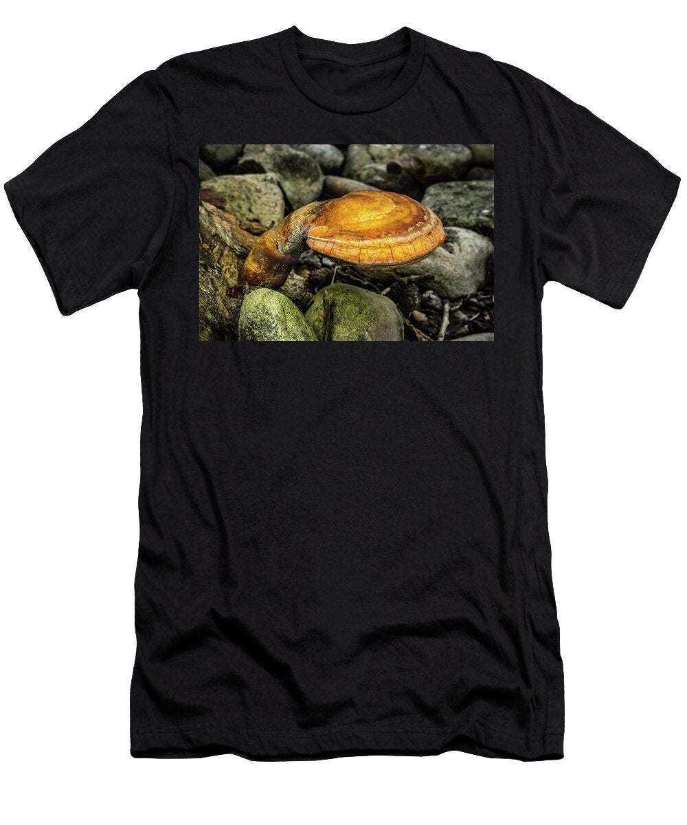 Painted Mushroom Ganoderma Douglas Barnett T-Shirt