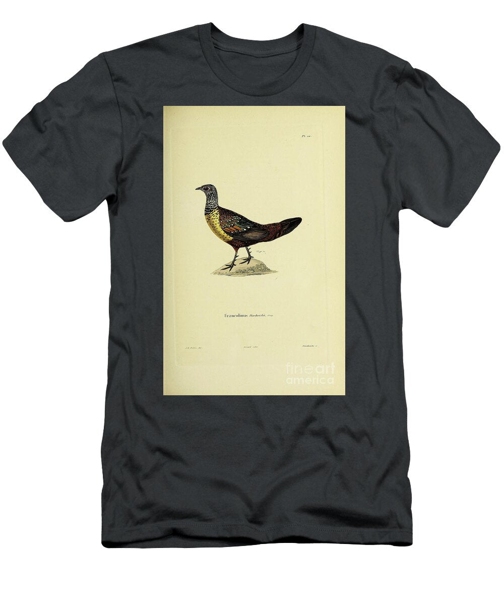 Painted Spurfowl Ndia 1843 R1 Historic Illustrations T-Shirt