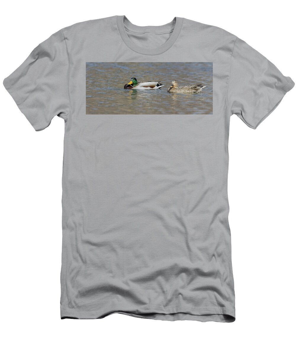 Pair of Mallard Ducks on Water Thomas Young T-Shirt