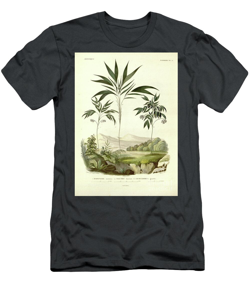 Palm Trees of South America U1 Botany T-Shirt