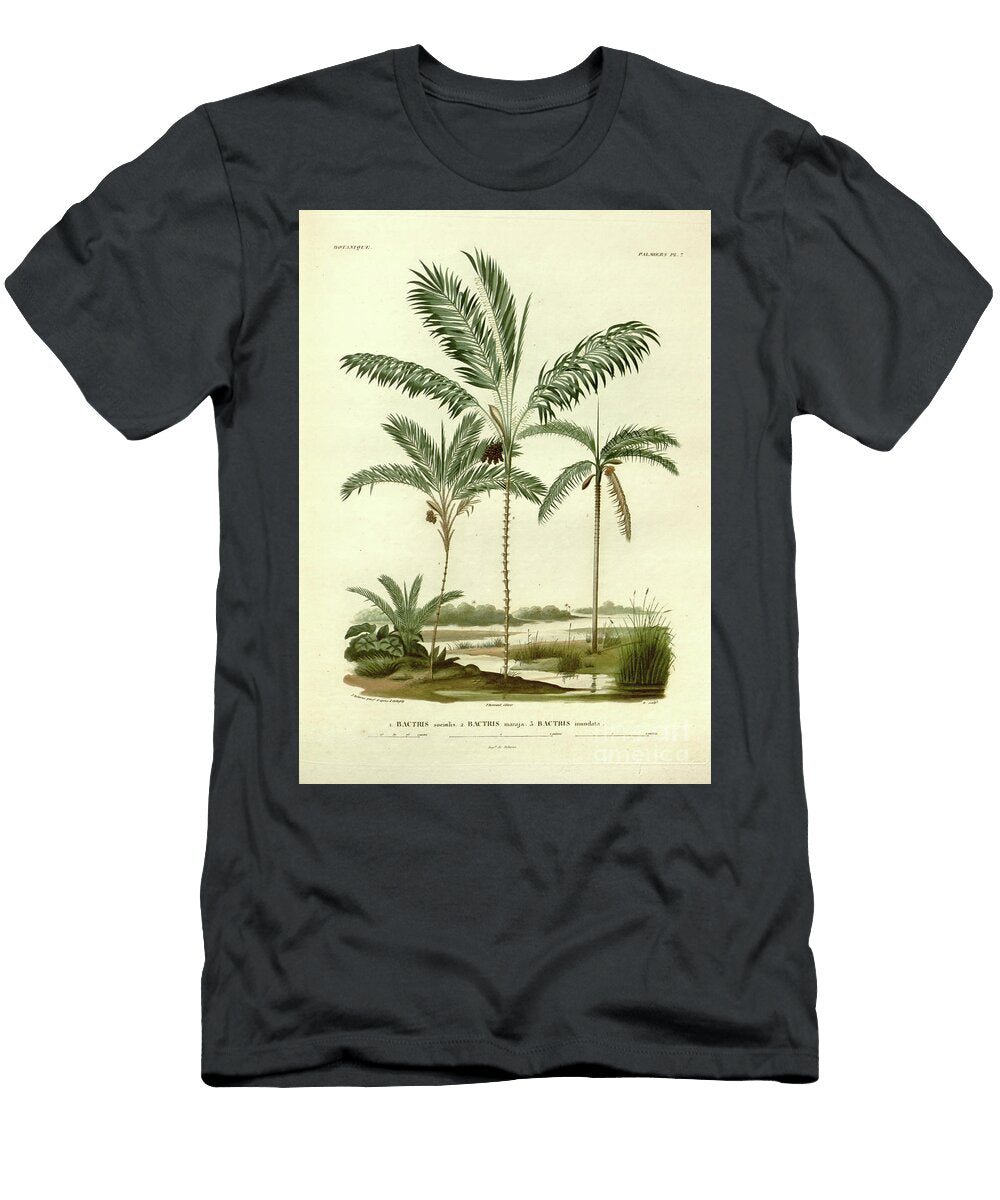 Palm Trees of South America U2 Botany T-Shirt