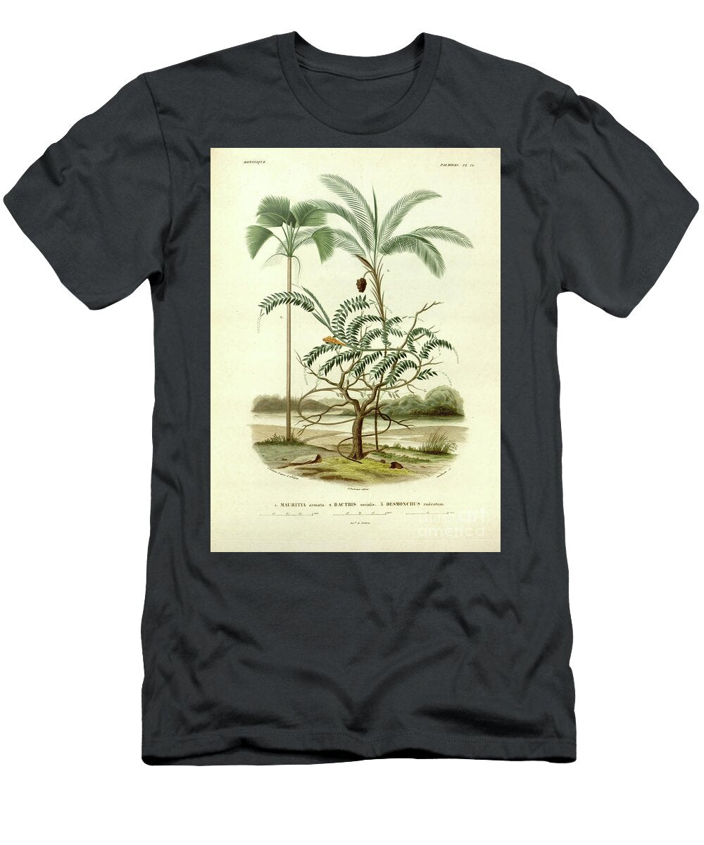 Palm Trees of South America U5 Botany T-Shirt