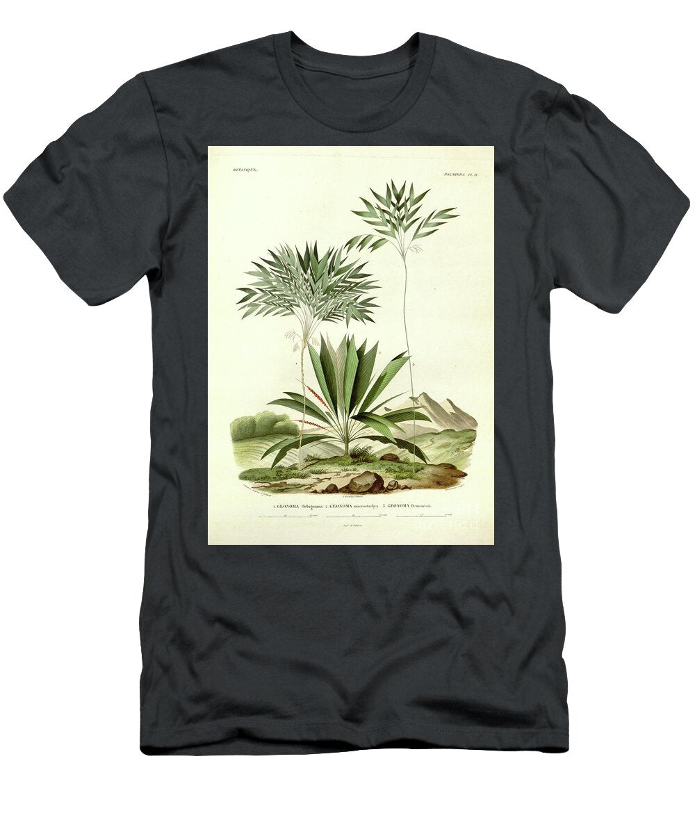Palm Trees of South America U6 Botany T-Shirt