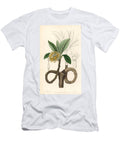 Paper Bush or Paper Tree of Mitsumata Oriental Paperbush or Mitsumata Edgeworthia Tomentosa Golden Edgworthia Edgworthia Chrysantha European School T-Shirt