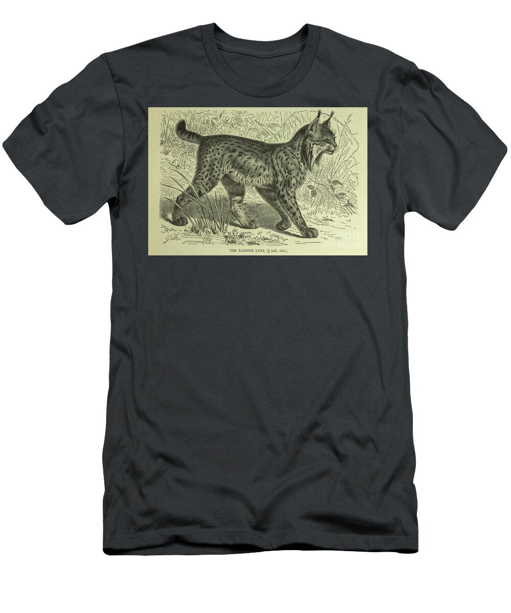 Pardine Lynx Felis Pardina L1 Historic Illustrations T-Shirt