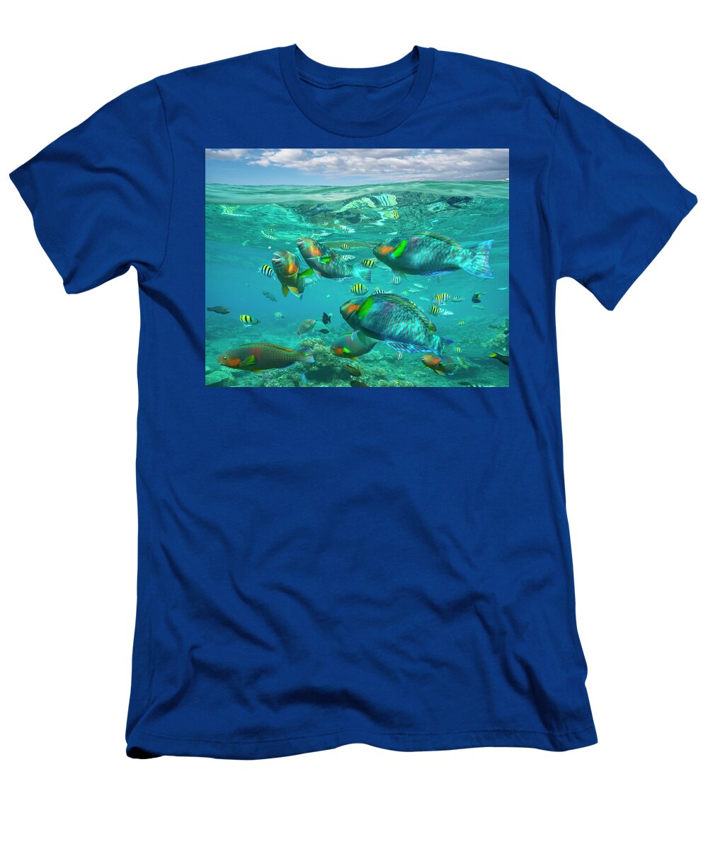 Parrotfish Damselfish Sergeant Major Damselfish and Basslets Negros Oriental Philippines Tim Fitzharris T-Shirt