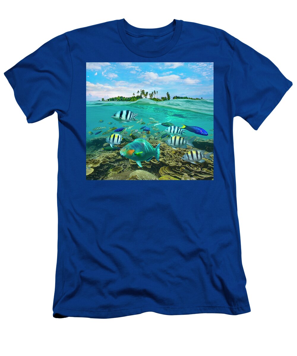 Parrotfish Wrasse and Sergeant Major Damselfish Balicasag Island Philippines Tim Fitzharris T-Shirt