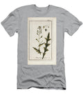 Pastor or Shepherd or Mustard of Mithridate Capsella Bursa Pastoris Scholarship European School T-Shirt