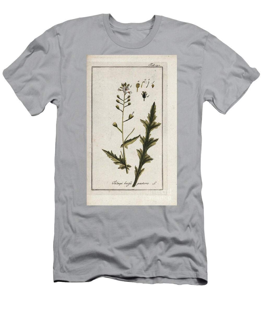 Pastor or Shepherd or Mustard of Mithridate Capsella Bursa Pastoris Scholarship European School T-Shirt