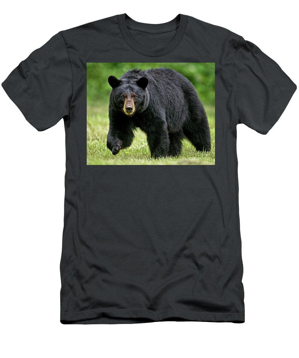 Paw Up Black Bear Timothy Flanigan T-Shirt
