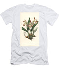 Pear Shaped Encyclia Orchid Encycloa Pyriformis Pear Shaped Epidendrum Epidendrum Pyriforme European School T-Shirt