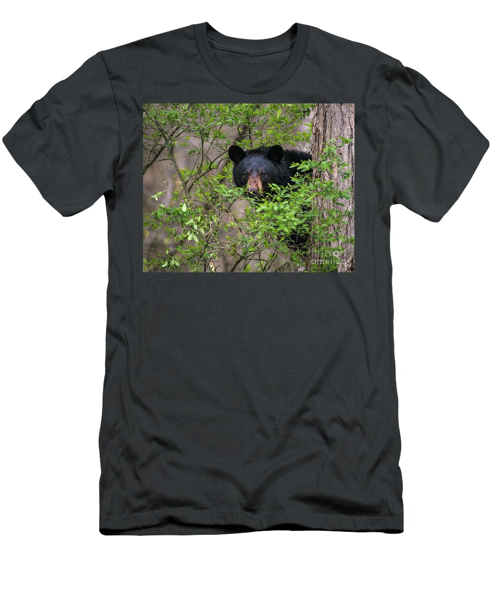 Peeking Out Sow Black Bear Timothy Flanigan T-Shirt