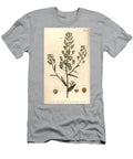 Pennycress Thlaspi Arvense Siliculosa Sydenham Teast Edwards T-Shirt