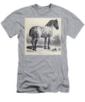 Percheron Cart Horse M4 Historic Illustrations T-Shirt
