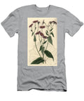 Pericallis Tussilaginis Coltsfoot Leaved Groundsel Senecio Tussilaginis Sydenham Teast Edwards T-Shirt