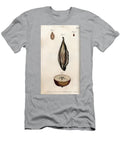 Pericarp of Parakeet Grass or Wadding and Section of the Fruit of Domestic Apple Tree Sydenham Teast Edwards T-Shirt